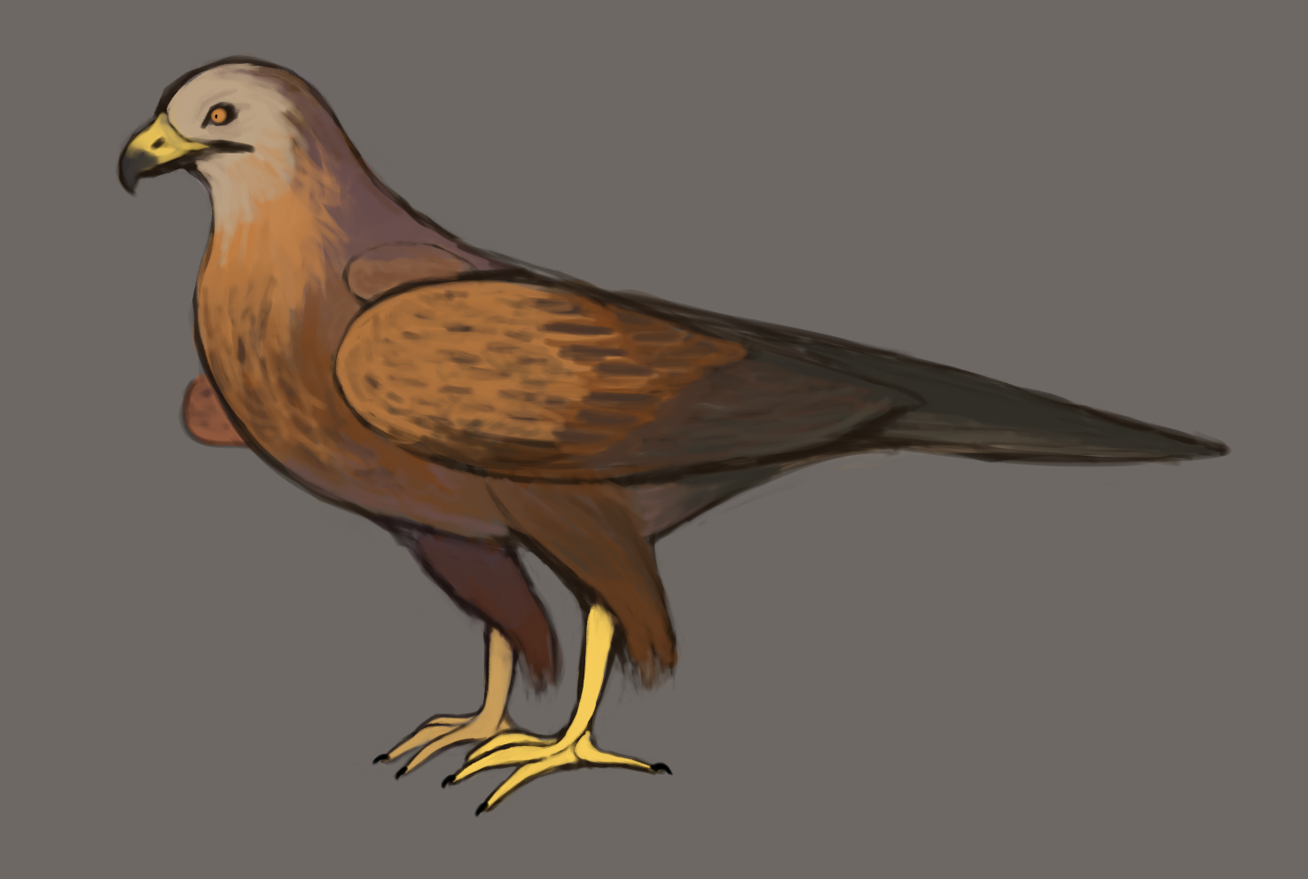 a semi-realistic drawing of a red kite facing left, against a neutral gray background.