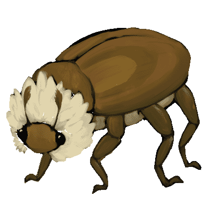 painting of a brown beetle with white neck fluff