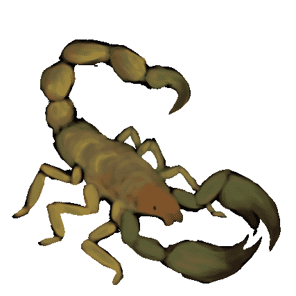 painting of a yellow, brown and green scorpion