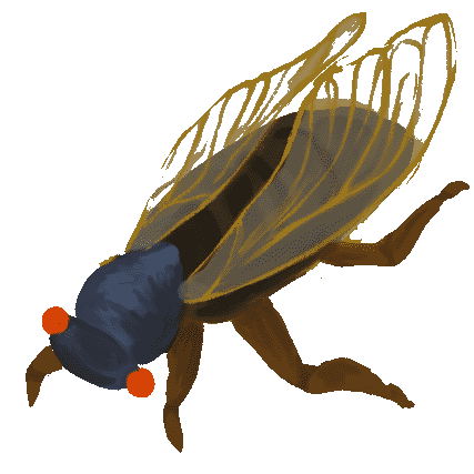painting of a cicada with bright orange eyes