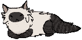 simple drawing of a fluffy cat lying down. its body is white and its face, ears, legs and tail are dark gray and striped