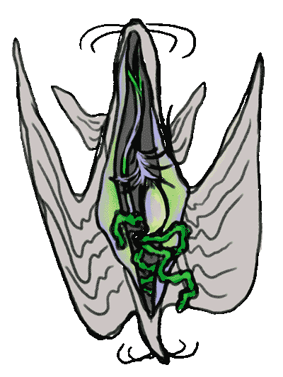 the same bird-like plankter, split vertically, odd organs showing. it is now colored, old-computer-beige on the outside, green and purple on the inside.