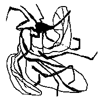abstracted line drawing of a squashed mosquito