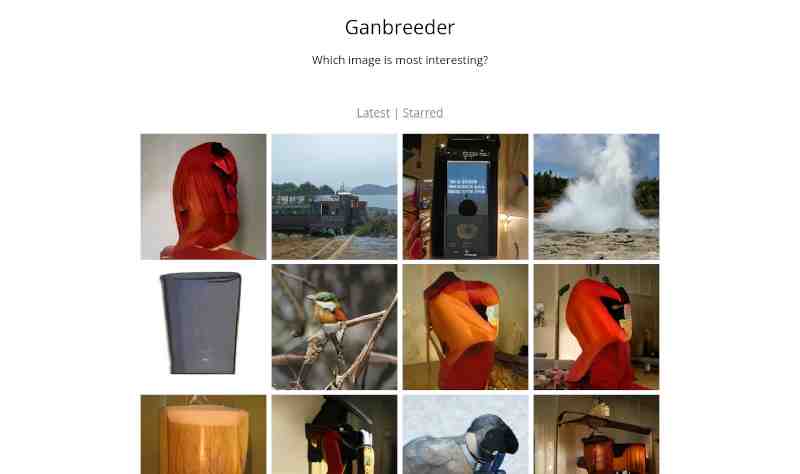 screenshot of the 'homepage', with a grid of synthetic images