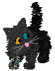 dark gray and black cat with a pink nose and mismatched yellow and teal eyes. it has a glitchy texture on one paw and the tail. it’s looking off the side