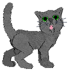 grey cat with green eyes