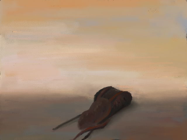 a plain. two dark (somewhat rust colored) abstract objects draped on top of one another.