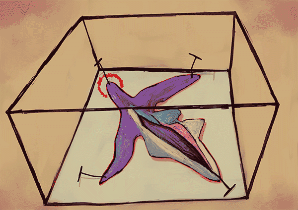 a painting of an angel, abstracted and resembling a cross, inside a glass box, its skin cut open and folded back revealing an empty body cavity.