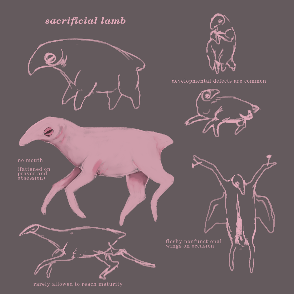 sketchpage of a skinless pink creature, labeled 'sacrificial lamb'. its mouthless face has bulging eyes like a baby bird and a snout similar to a tapir. its tail is short and triangular.