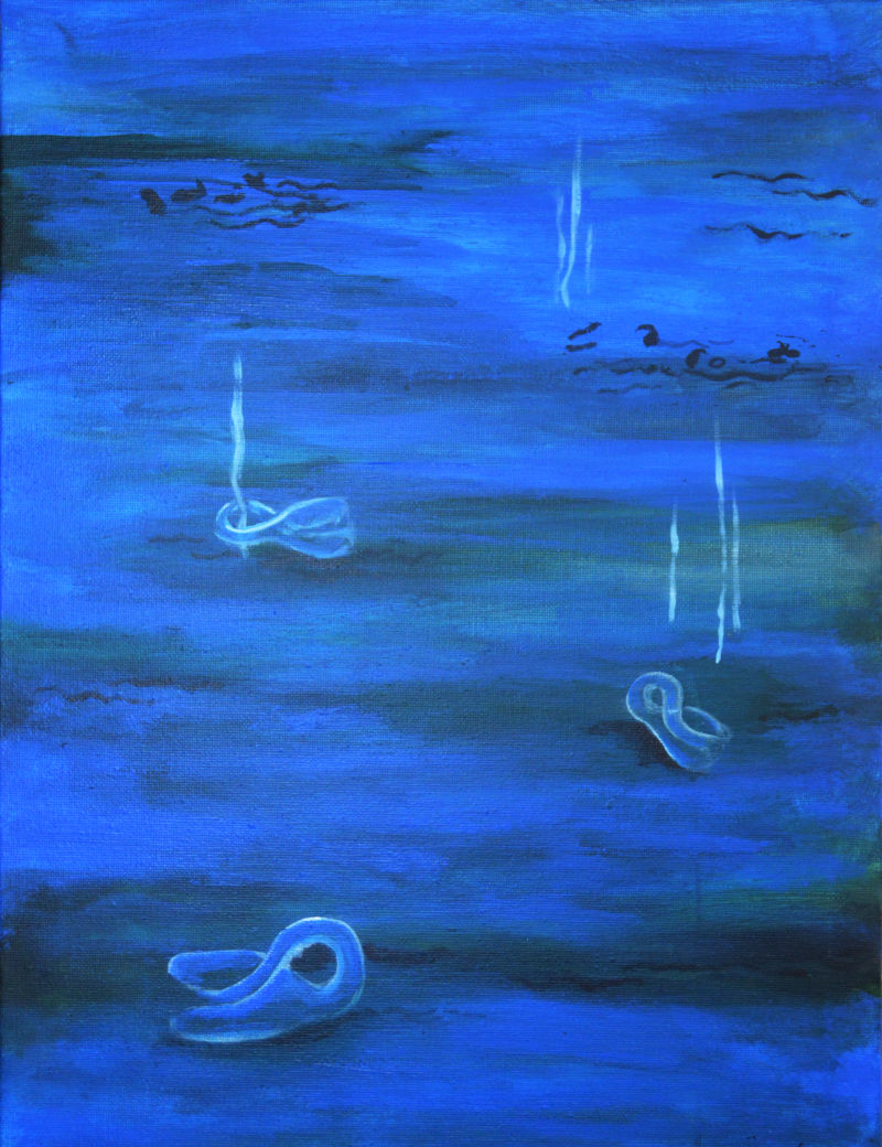 acrylic painting, in shades of blue. a few transparent klein's bottles lie upon a plain. smaller black abstract objects appear in clusters here and there